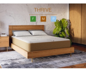 ethosthrive