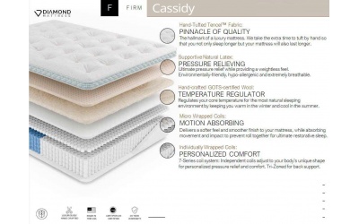 cassidyfirmoct2024a